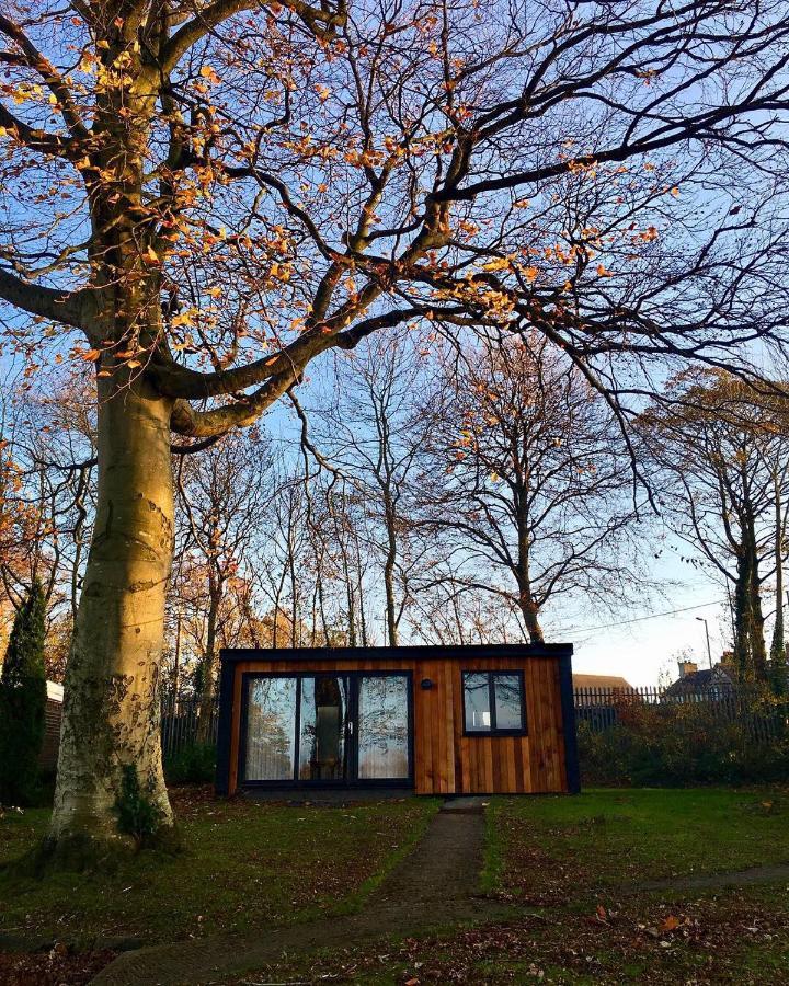 Cozy Snowdonia Chalet Caernarfon Eksteriør billede